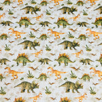 Dinosaurs 2 Waterproof PUL Portable Travel Change Mats