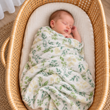 Eucalypt Leaves Swaddle Wraps