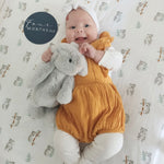 Bunnies- Flop Eared  - Cuddling Toy